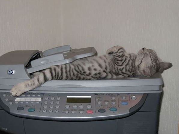 kotka printer